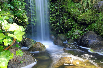 Beautiful small waterfall in the forest
