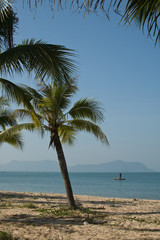 Fototapeta na wymiar Beach at Sattaheep (Thailand)