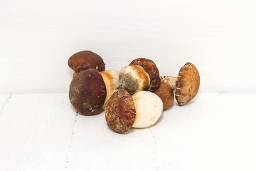 Ceps