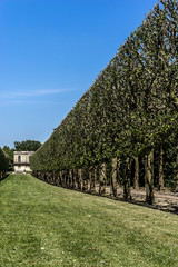 Fototapeta na wymiar Park (Andre Le Notre, 17 century) Chateau de Sceaux, near Paris.
