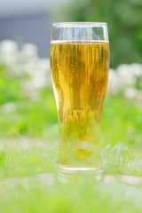 cold beer