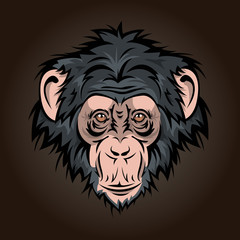 Obraz premium chimp