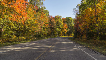 Fall colors on country side drive in Michigan
