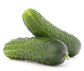 Cucumber vegetable  isolated on white background cutout
