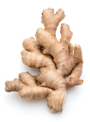 Fresh ginger root or rhizome isolated on white background cutout