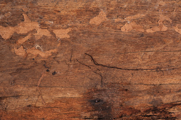 Close up old wood that support the railway texture background