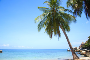 Naklejka premium Tropikalna wyspa w sezonie letnim