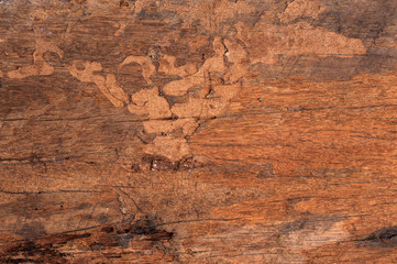 Fototapeta na wymiar Close up old wood that support the railway texture background
