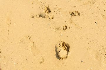 Foot step on sand