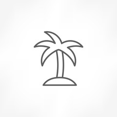 coconut tree icon