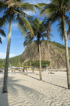 View of Sugarloaf Mountain through palm trees from the Leme section of Copacabana Beach, Rio de Janeiro, Brazil