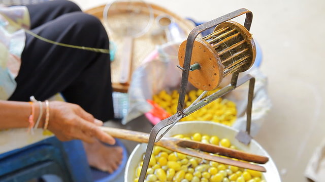 raw silk fiber manufacturing process from rearing cocoons boiling in hot water and slung across the bamboo roller to obtain united silky thread. closeup vedio
