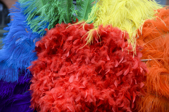 Colorful feathers of a gay pride dress in bright rainbow detail