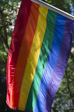 Gay pride rainbow flag flies in the bright sun against lush greenery on a leafy street