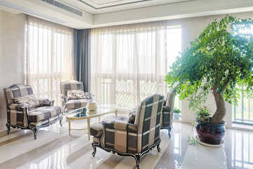 luxury living room interior