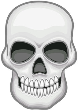 Skull vector image