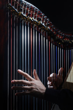 Harp strings closeup hands