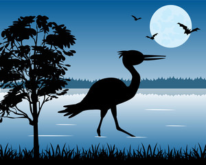Fototapeta premium Stork on lake
