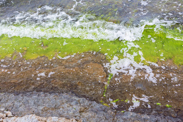 Waves at the shore