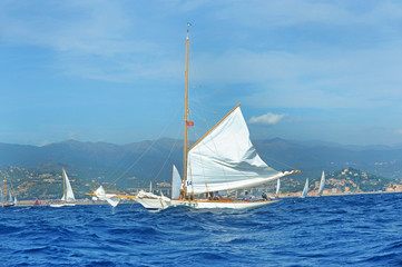 Fototapeta premium Regata