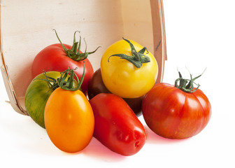 Tomates d'antan de différentes couleurs conditionnées en barquette sur fond blanc
