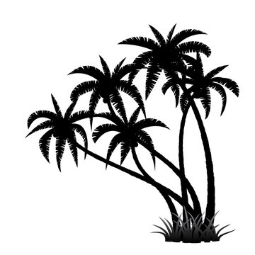 Palm trees silhouette on white background, vector illustration