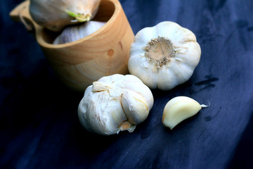 Garlic