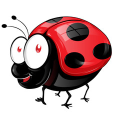 Obraz premium ladybug cartoon isolated on white background
