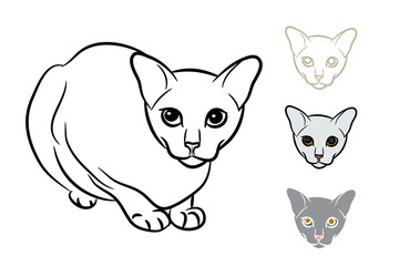 Drawing of adorable cat with three  styles small head
