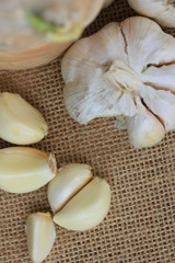 Garlic