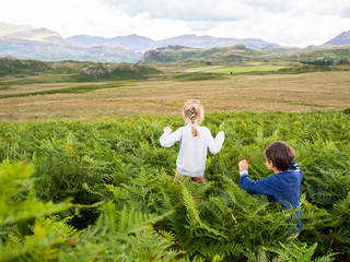 Fototapeta na wymiar Kids running into the fern field, shot in the Lake District, England in summer. 