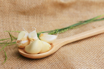 Garlic