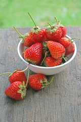 Strawberries in a Bowl