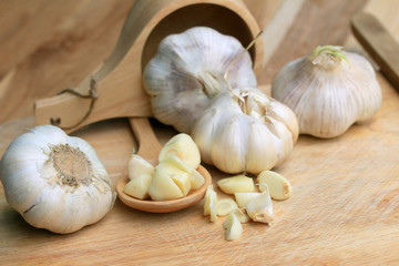Garlic