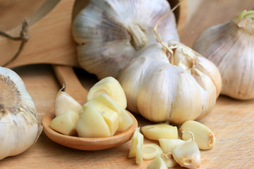 Garlic
