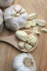 Garlic