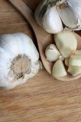 Garlic