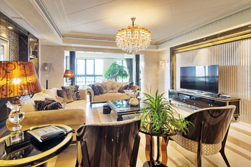 luxury living room interior
