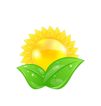 Eco friendly icon with sun and green leaves, isolated on white b