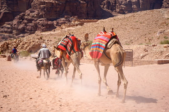 Camels on the desert／砂漠の上の遊牧民とラクダ