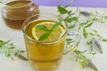 Mint tea with lemon on a table with mint plant, honey and dipper