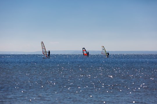 Windsurfers swimming on sea