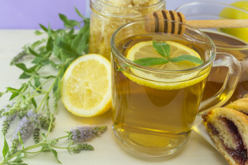 Cold mint tea with lemon on a table with mint plant, honey,dippe
