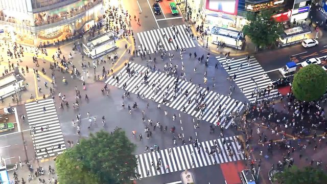 Time lapse - Tokyo - Shibuya pedestrian crossing also known as Shibuya scramble
