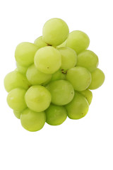 green muscat grapes isolated on white background