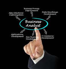 Business Analyst