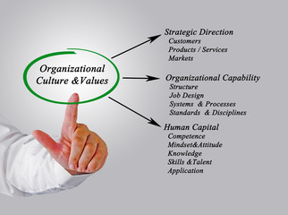 Organizational Culture&Values