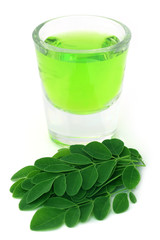 Moringa leaves with extract in a glass