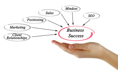 Diagram of business success
