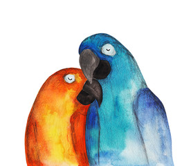 Parrots. Heart. Watercolor - 86383188
